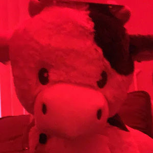 Meet your Posher, Aaliyah